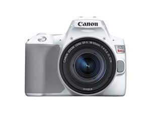 Canon EOS REBEL SL3 Digital SLR Camera with EF-S 18-55mm Lens Kit
