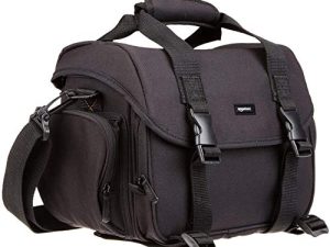 Amazon Basics Large DSLR Gadget Bag (Gray interior)