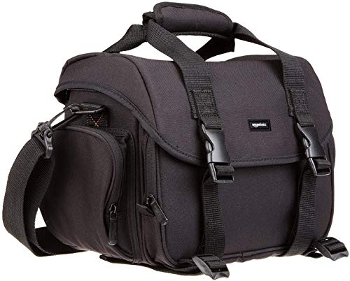 Amazon Basics Large DSLR Gadget Bag (Gray interior) Amazon Basics Large DSLR Gadget Bag (Gray interior)