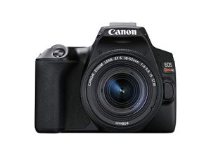 Canon EOS REBEL SL3 Digital SLR Camera with EF-S 18-55mm Lens kit