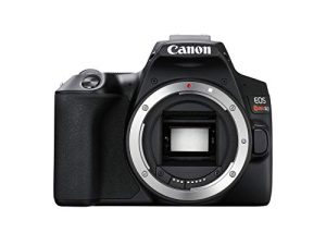CANON EOS REBEL SL3 DSLR Camera