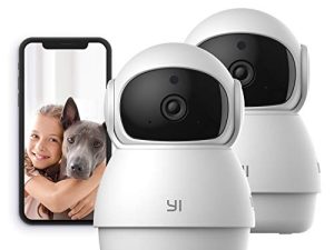 YI 2pc Pan-Tilt Dome Security Camera