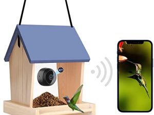 GAI Bird Feeder with Camera (Include 64G SD Card)