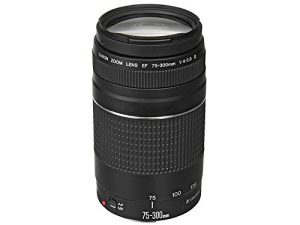 Canon EF 75-300mm f/4-5.6 III Telephoto Zoom Lens for Canon SLR Cameras