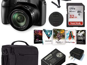 Panasonic Lumix DC-FZ80 4K Digital Camera