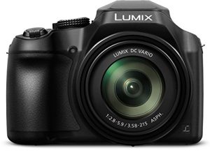 Panasonic LUMIX FZ80 4K Digital Camera